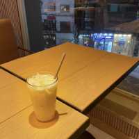 【韓国】韓国人が週に2階以上通っている定番のカフェ☕️