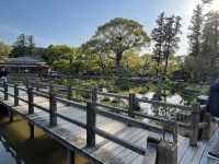 福岡遊太宰府天滿宮⛩️