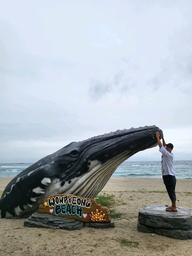 손하트 포토존과 대형고래가 있는 삼척해변