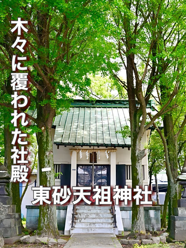 【東京都】木々に覆われた社殿が見応えあり