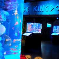Sea Life Bangkok Ocean World