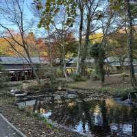 【静岡/御殿場】絶対行きたい和カフェ！とらや工房
