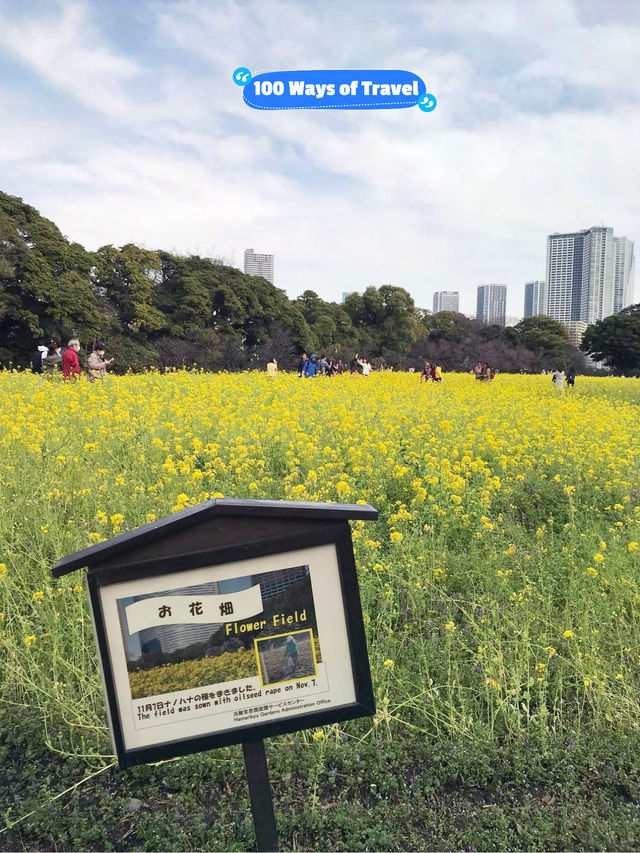 🇯🇵 Hamarikyu Gardens