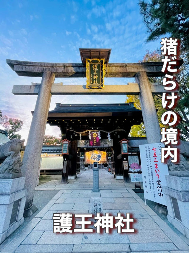 【京都府】猪だらけの境内