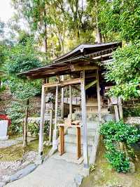 【京都府】日本で唯一の「髪」の神社