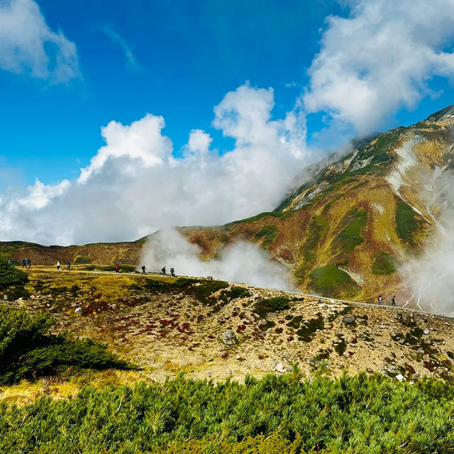禮文岳：初秋色彩下的壯麗山景 🏞️🍂