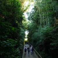【神奈川/猿島】東京からも簡単に行ける無人島‼︎