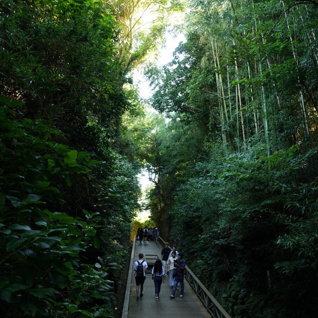 【神奈川/猿島】東京からも簡単に行ける無人島‼︎