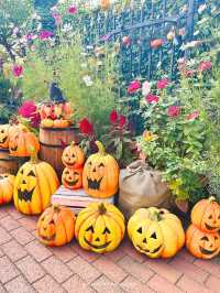 横浜から近いガーデンハロウィン装飾！【神奈川 / 横浜】