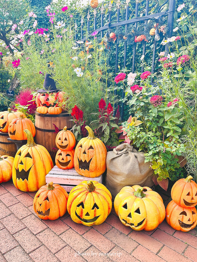 横浜から近いガーデンハロウィン装飾！【神奈川 / 横浜】