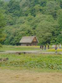 동화 같은 일본 마을, 시라카와고🌿