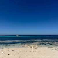 Island Escape: A Day Trip to Rottnest IslandDiscover the Beauty of Rottnest Island