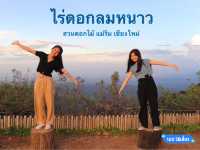 รับลมหนาว ชมสวนดอกไม้ แม่ริม เชียงใหม่🌸