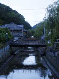 日本靜岡縣：在復古的柳樹林道「佩里之路」散步