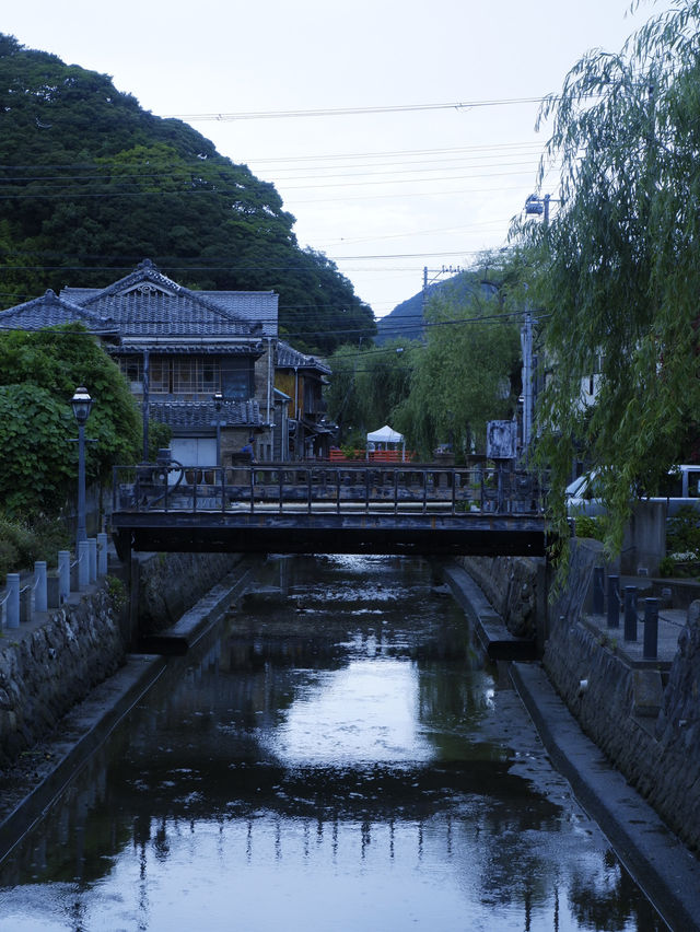 日本靜岡縣：在復古的柳樹林道「佩里之路」散步