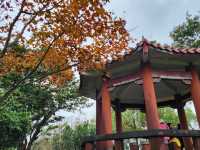 新北｜拱北殿賞楓