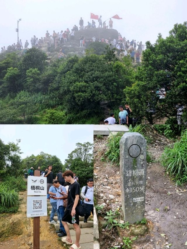 🇨🇳 Wutong Mountain Hike via Bitong Trail