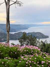 Hotel with amazing view of Lake Toba 