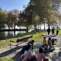 楚格湖畔的美麗公園
