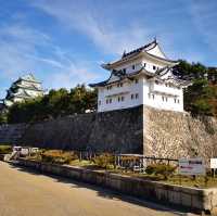 Timeless Beauty and Golden Charm: Exploring Nagoya Castle!