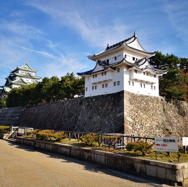 Timeless Beauty and Golden Charm: Exploring Nagoya Castle!