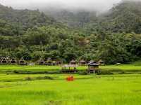 Ikigawa Home ที่พักน่ารักๆ บ่อเกลือ น่าน