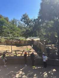 🐻미국 최고의 여행지 샌디에고 동물원 San diego zoo🐒