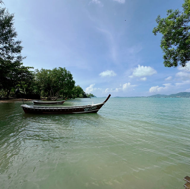 The Mangrove by Blu Monkey 🐵