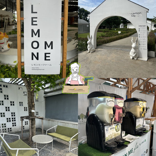 Lemon me farm คาเฟ่สวนมะนาว | นครปฐม