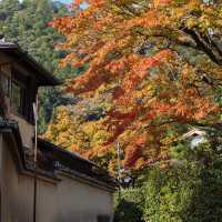 露天神社：靈性之地 ✨⛩️