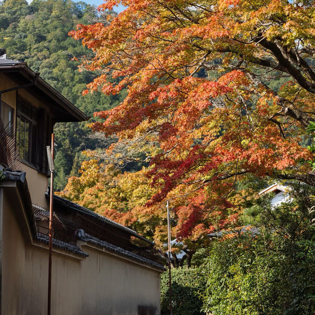 露天神社：靈性之地 ✨⛩️