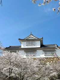 【岡山　お城巡り】