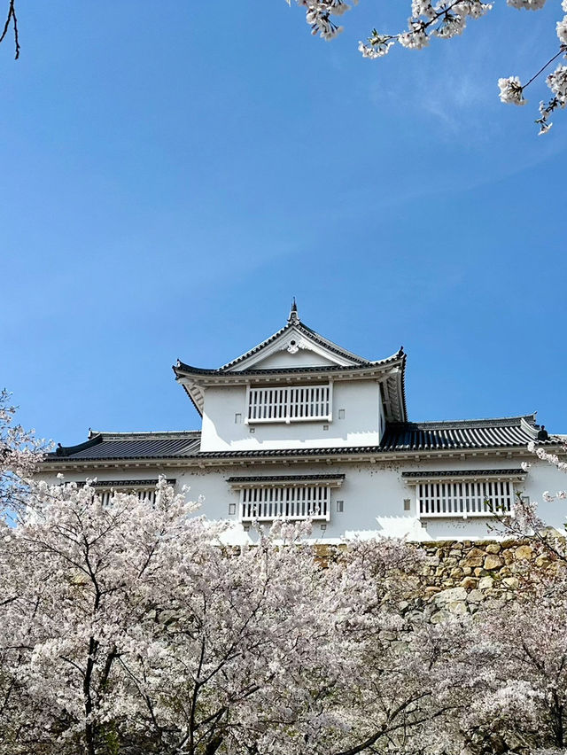 【岡山　お城巡り】