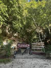 Serene River Cruise in Krabi Town! Exploring Caves and Mangrove Swamps