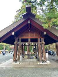 北海道　札幌観光　北海道神宮2024 紅葉の神宮を散策してみた！