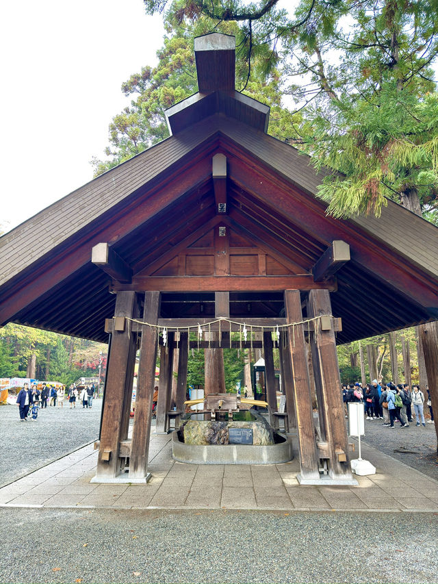 北海道　札幌観光　北海道神宮2024 紅葉の神宮を散策してみた！