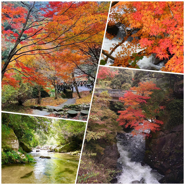 筑紫耶馬溪，擁有清澈的溪流和獨特的紅葉美景