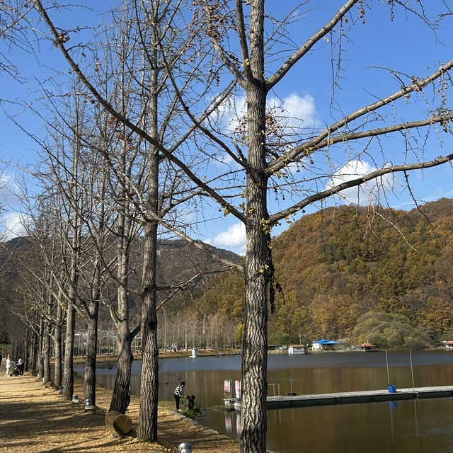 맑은 날씨에 더욱 추천하는 충북 괴산 문광저수지 🫧