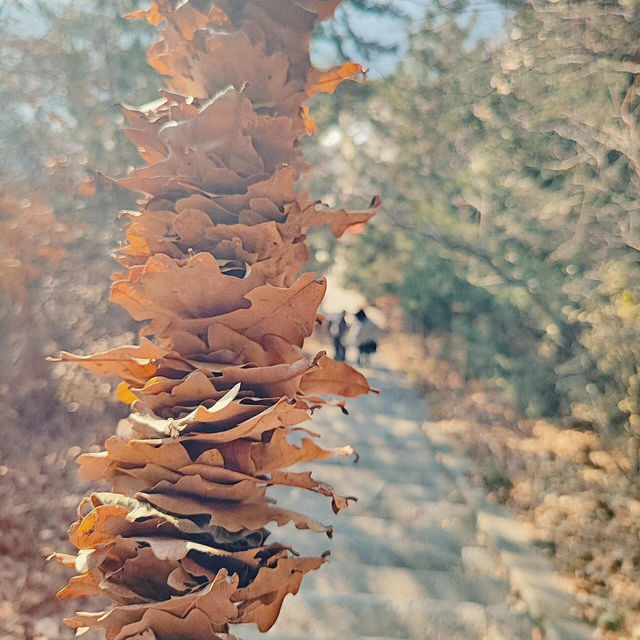 山西呂梁北武當山|| 仙氣飄飄