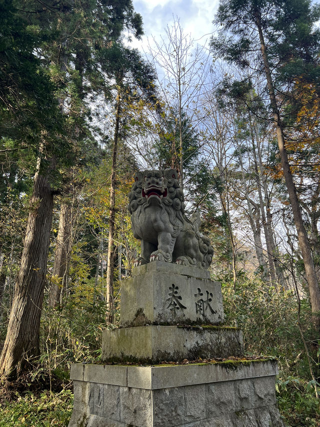 Beyond the Gate: Togakushi Shrine