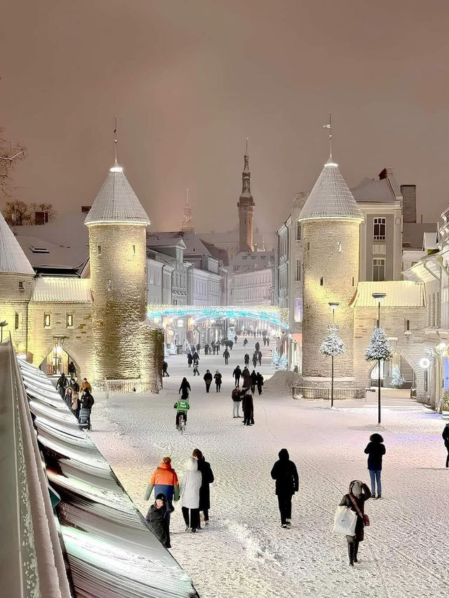 Lost in the enchantment ❄️☃️of Tallinn , Estonia