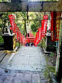 【神奈川県/鎌倉　白狐の置物がたくさん並ぶ神秘的な場所『佐助稲荷神社』】