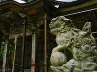 【福井県】兵どもが夢の跡…を感じる苔の名所「平泉寺白山神社」