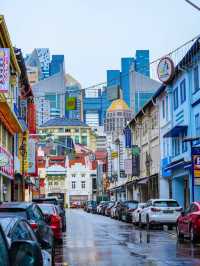 Awesome visit to chinatown Singapore 🇸🇬 