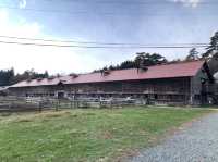 盛岡観光　小岩井の旅