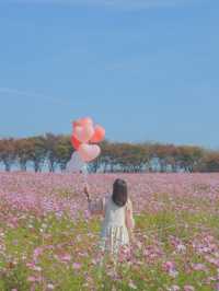 너무 행복했던 나의 분홍 빛 가을💖🌸🦄🎀