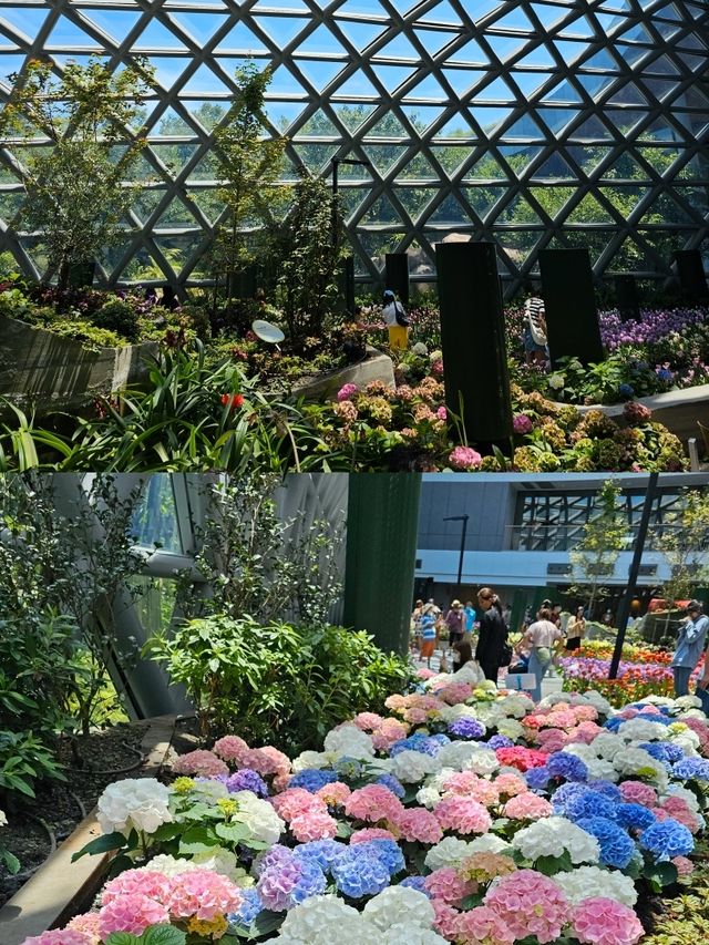 สัมผัสความงามของพรรณไม้เมืองหนาว 🌷