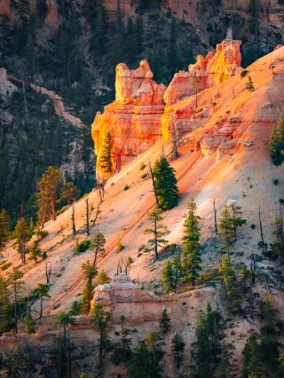 A Hiking Trip, Adventure Awaits ❤️