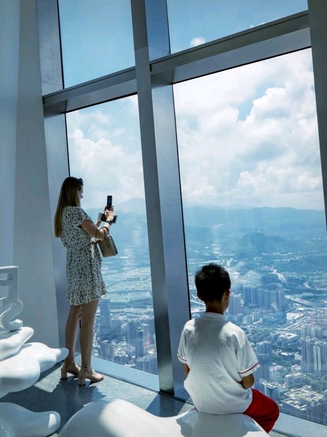 站在高處看深圳
