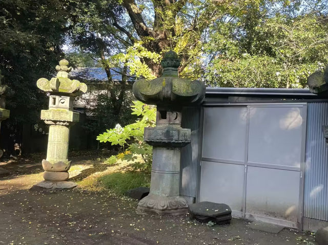 🇯🇵 【上野東照宮】